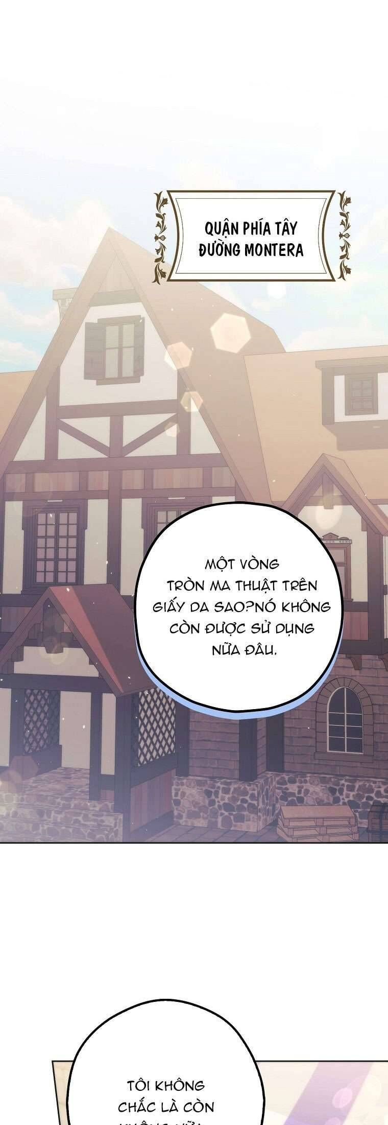 Các Nam Chính Đã Bị Nữ Phụ Cướp Mất - Chap 24 - Trang 25
