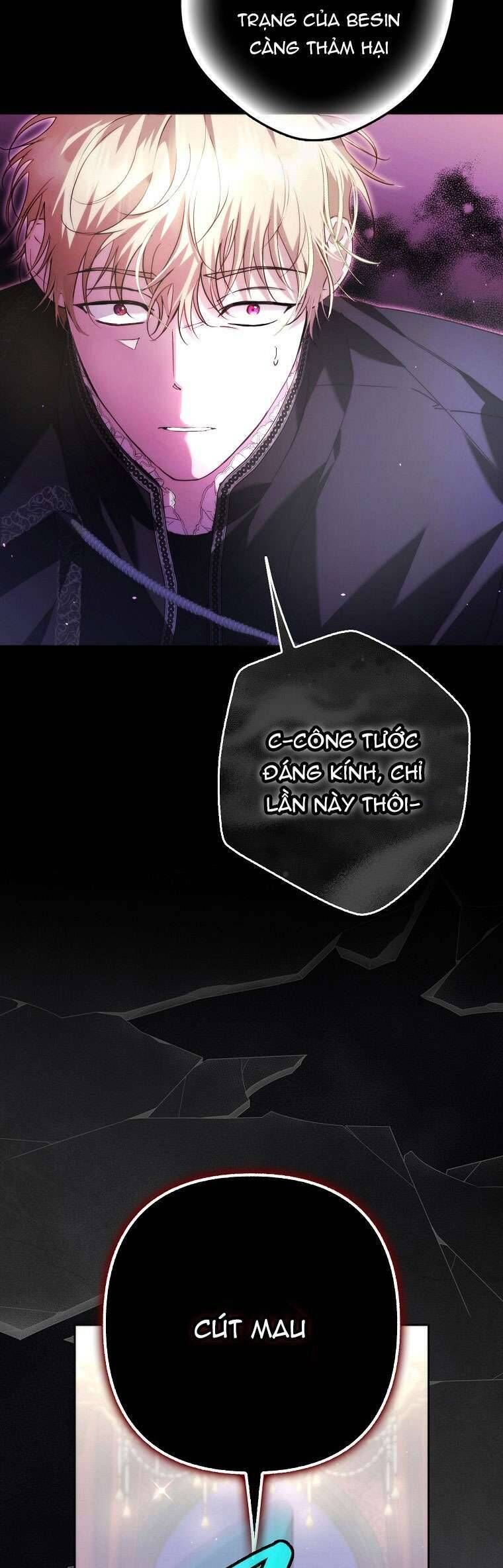 Các Nam Chính Đã Bị Nữ Phụ Cướp Mất - Chap 24 - Trang 6