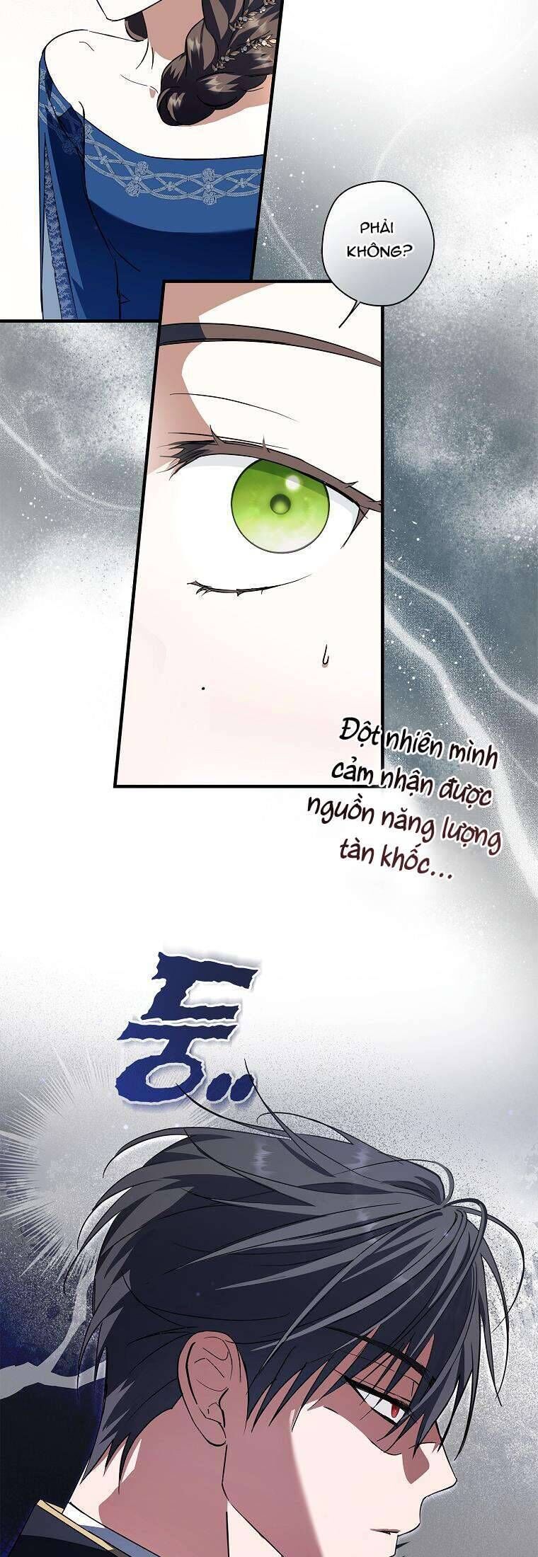 Các Nam Chính Đã Bị Nữ Phụ Cướp Mất - Chap 29 - Trang 49