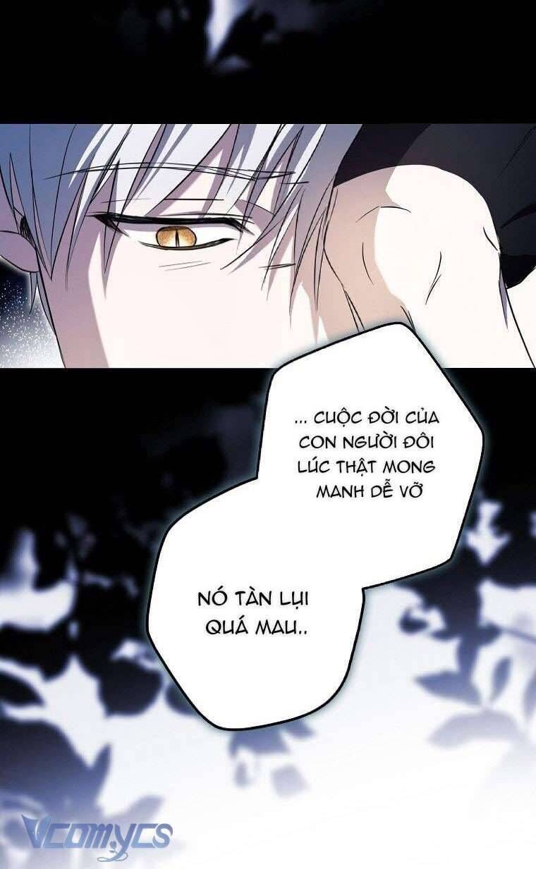 Các Nam Chính Đã Bị Nữ Phụ Cướp Mất - Chap 3 - Trang 19