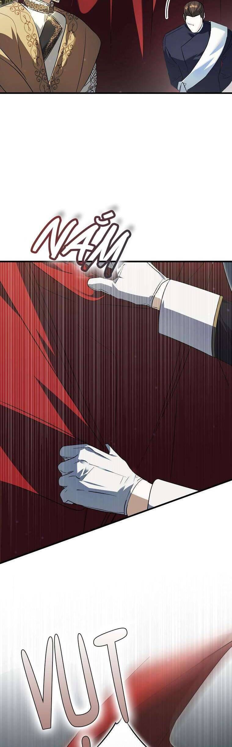 Các Nam Chính Đã Bị Nữ Phụ Cướp Mất - Chap 31 - Trang 21