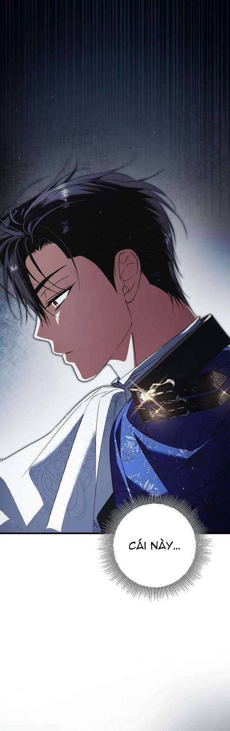 Các Nam Chính Đã Bị Nữ Phụ Cướp Mất - Chap 31 - Trang 28