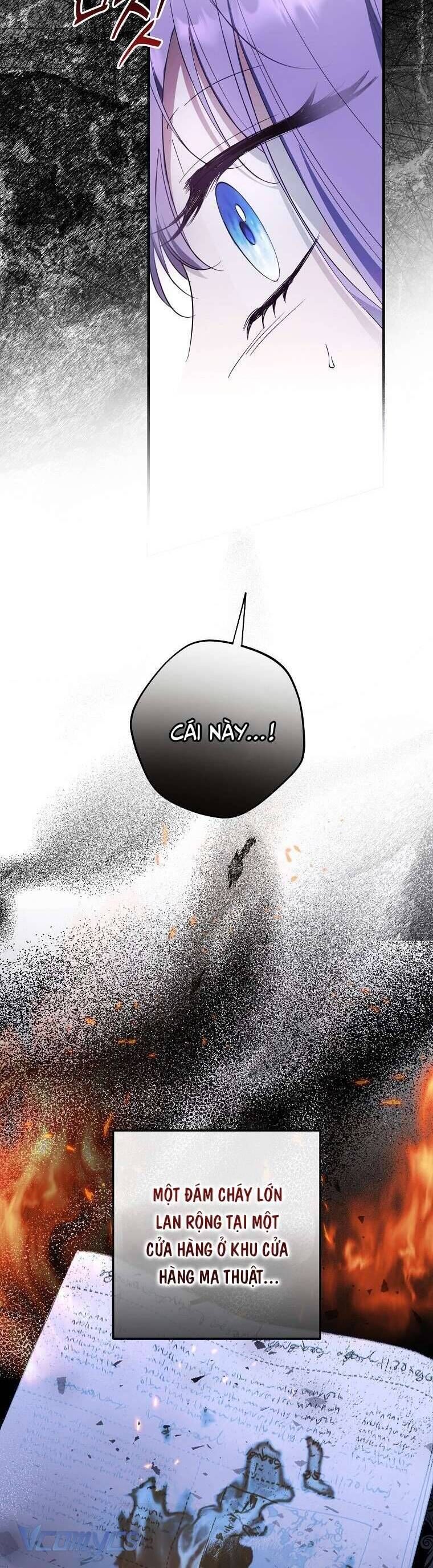 Các Nam Chính Đã Bị Nữ Phụ Cướp Mất - Chap 33 - Trang 13