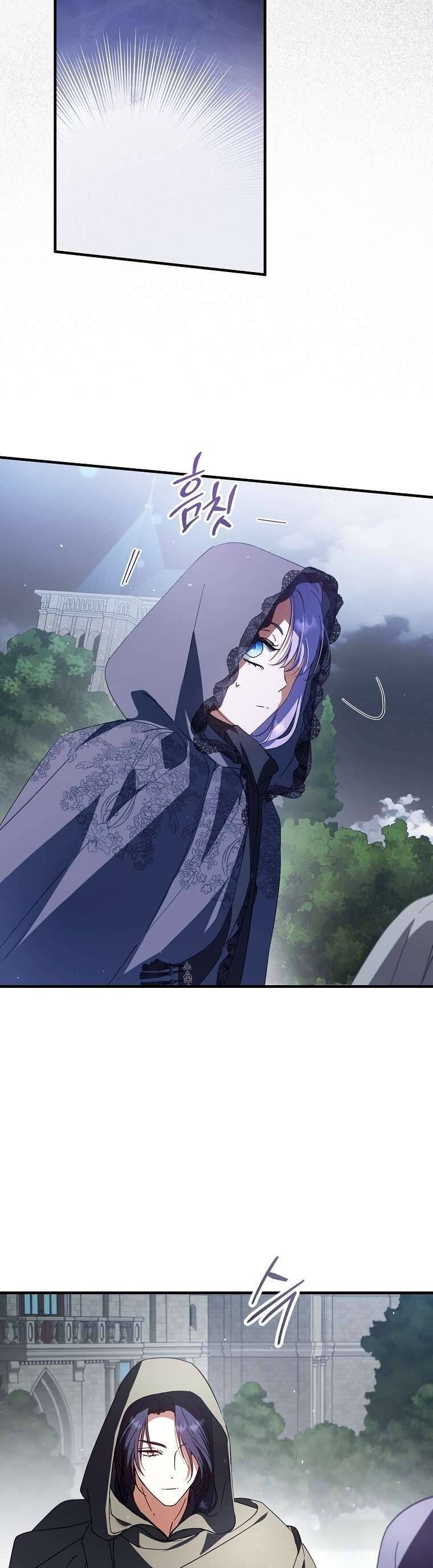 Các Nam Chính Đã Bị Nữ Phụ Cướp Mất - Chap 33 - Trang 29