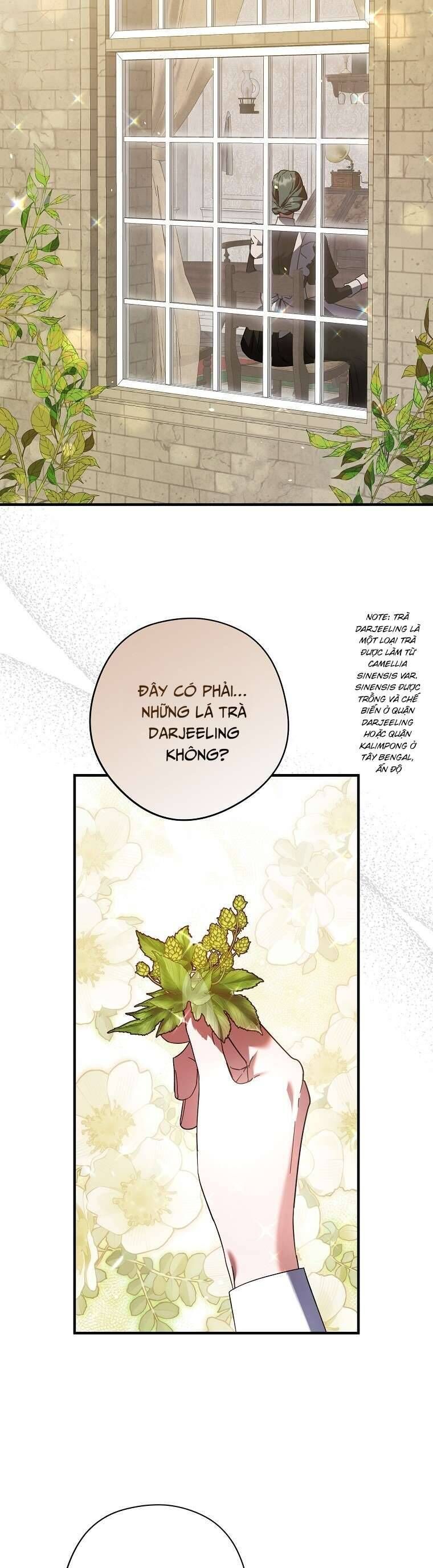 Các Nam Chính Đã Bị Nữ Phụ Cướp Mất - Chap 33 - Trang 49
