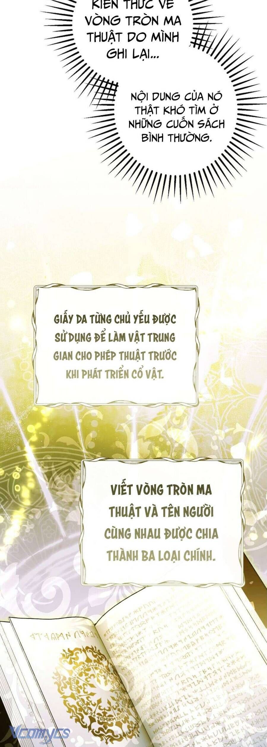 Các Nam Chính Đã Bị Nữ Phụ Cướp Mất - Chap 34 - Trang 6
