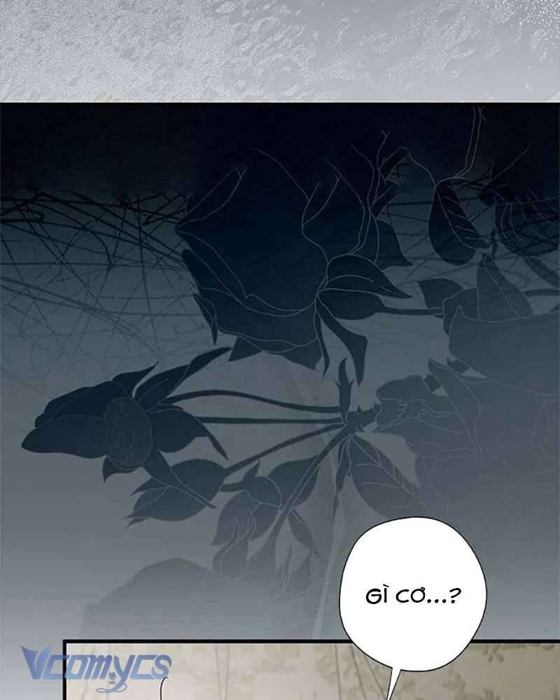 Các Nam Chính Đã Bị Nữ Phụ Cướp Mất - Chap 40 - Trang 118