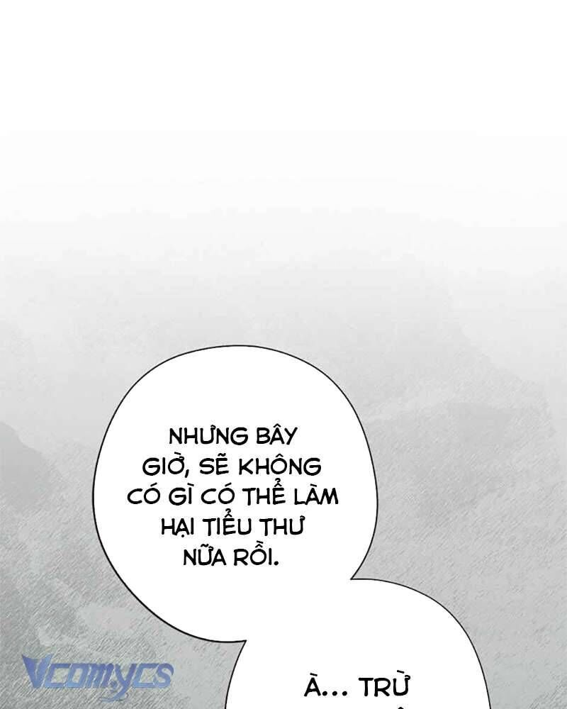 Các Nam Chính Đã Bị Nữ Phụ Cướp Mất - Chap 40 - Trang 15