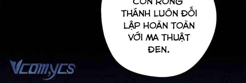 Các Nam Chính Đã Bị Nữ Phụ Cướp Mất - Chap 40 - Trang 18