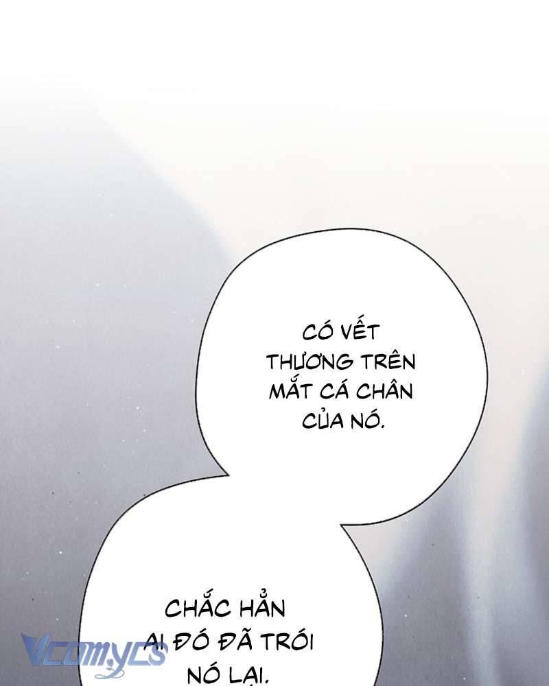 Các Nam Chính Đã Bị Nữ Phụ Cướp Mất - Chap 60 - Trang 144