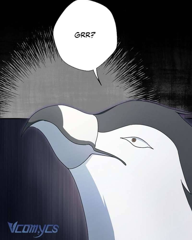 Các Nam Chính Đã Bị Nữ Phụ Cướp Mất - Chap 60 - Trang 16