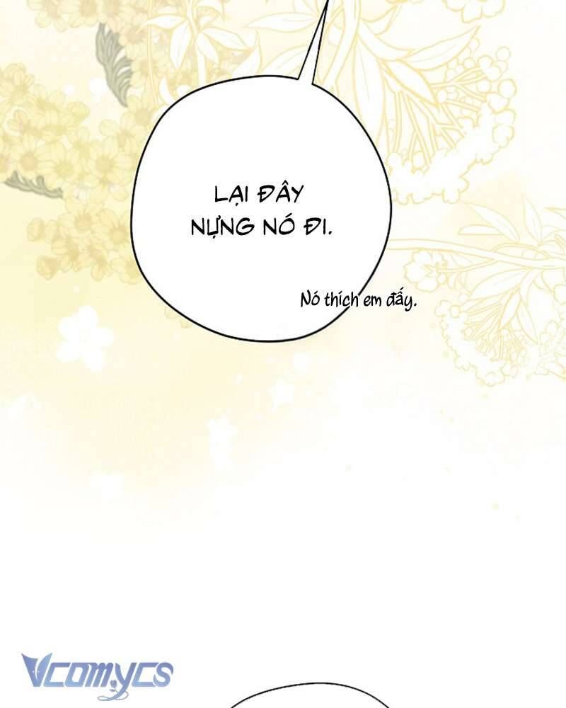 Các Nam Chính Đã Bị Nữ Phụ Cướp Mất - Chap 60 - Trang 98