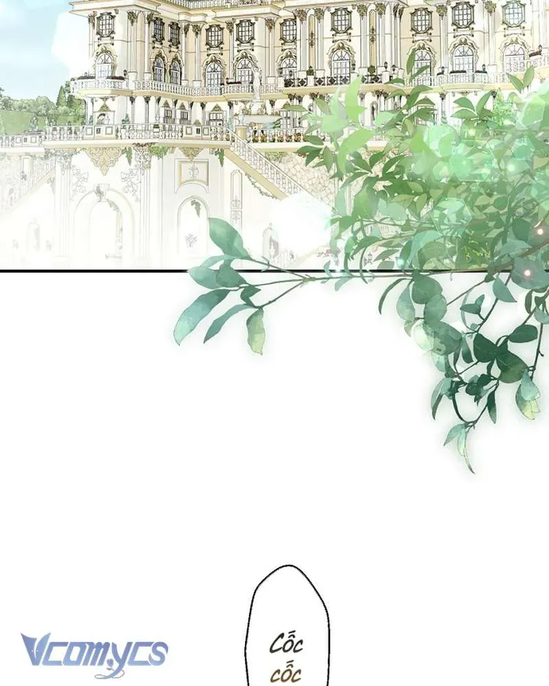 Các Nam Chính Đã Bị Nữ Phụ Cướp Mất - Chap 64 - Trang 5