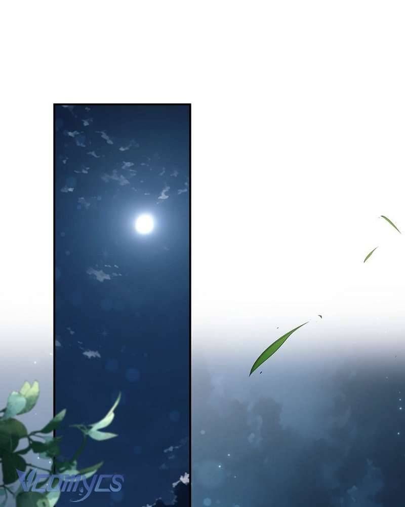Các Nam Chính Đã Bị Nữ Phụ Cướp Mất - Chap 66 - Trang 2