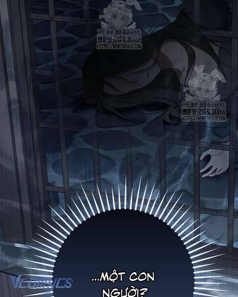 Các Nam Chính Đã Bị Nữ Phụ Cướp Mất - Chap 69 - Trang 49