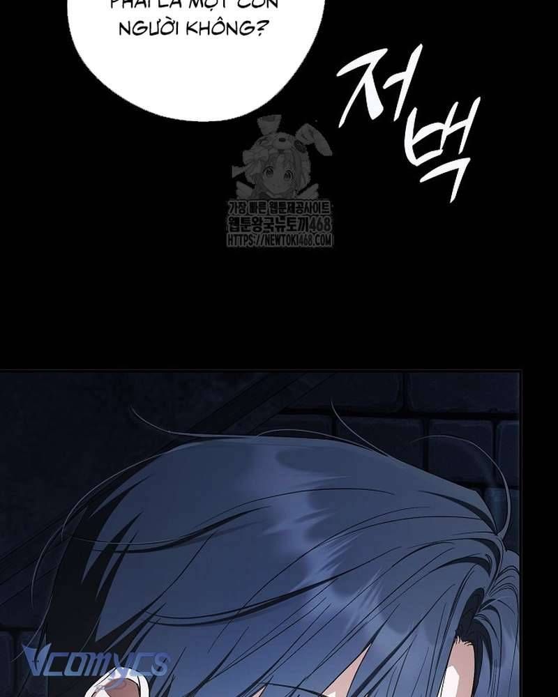 Các Nam Chính Đã Bị Nữ Phụ Cướp Mất - Chap 69 - Trang 8