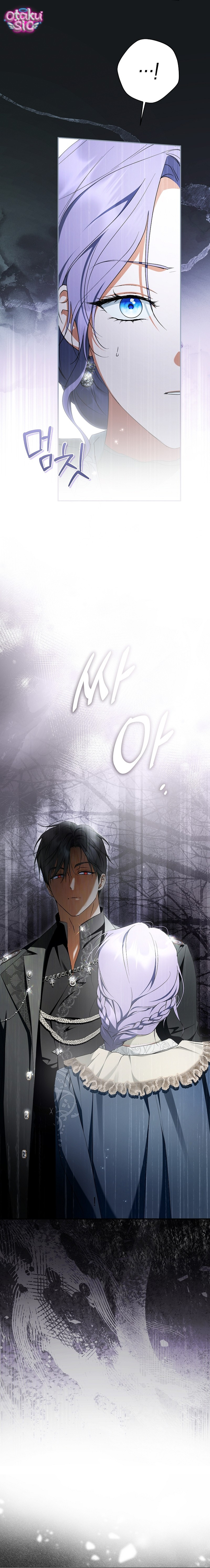 Các Nam Chính Đã Bị Nữ Phụ Cướp Mất - Chap 74 - Trang 26