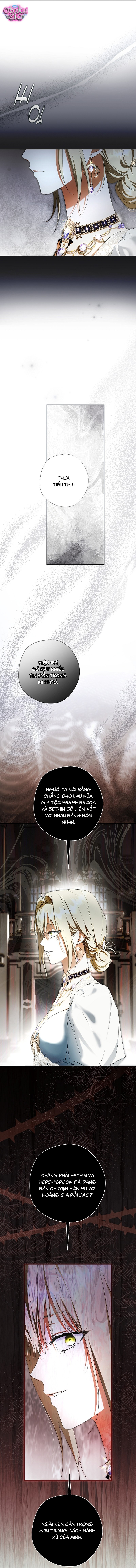 Các Nam Chính Đã Bị Nữ Phụ Cướp Mất - Chap 76 - Trang 14
