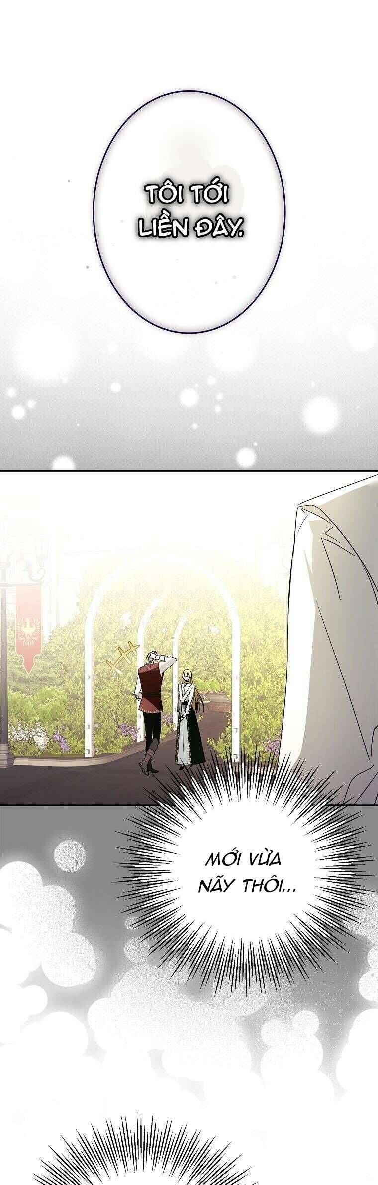 Các Nam Chính Đã Bị Nữ Phụ Cướp Mất - Chap 8 - Trang 25