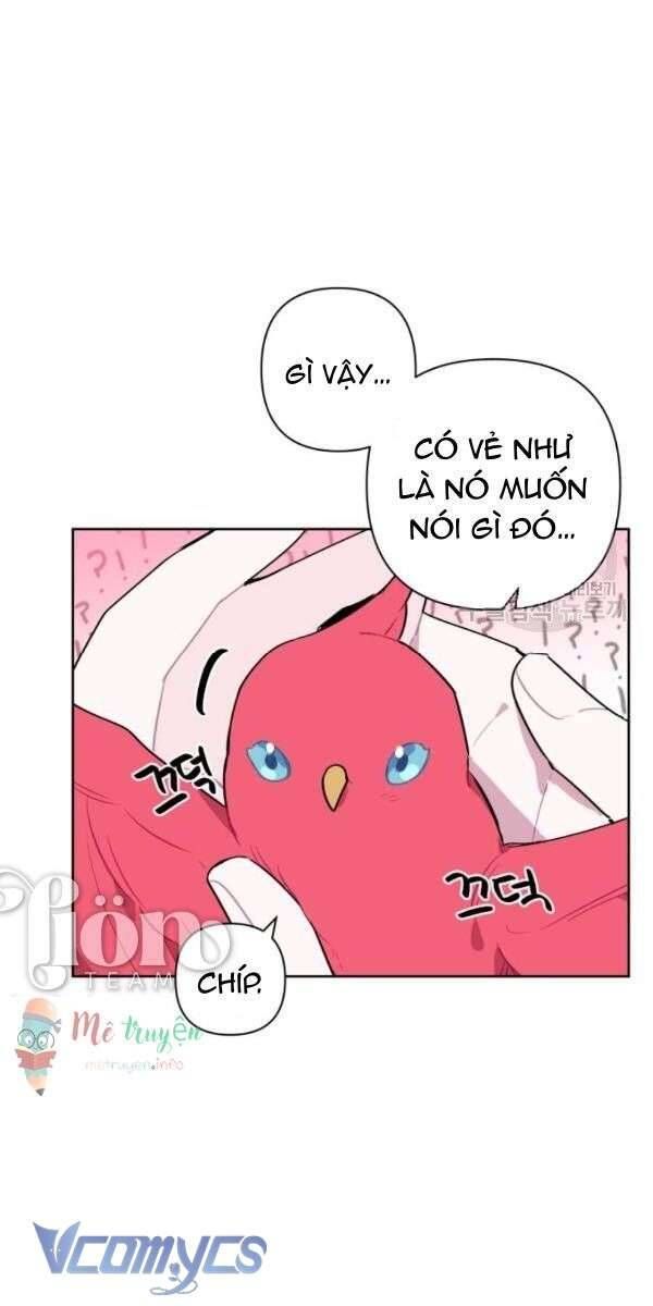 Cách Để Giết Một Pháp Sư - Chap 5 - Trang 11
