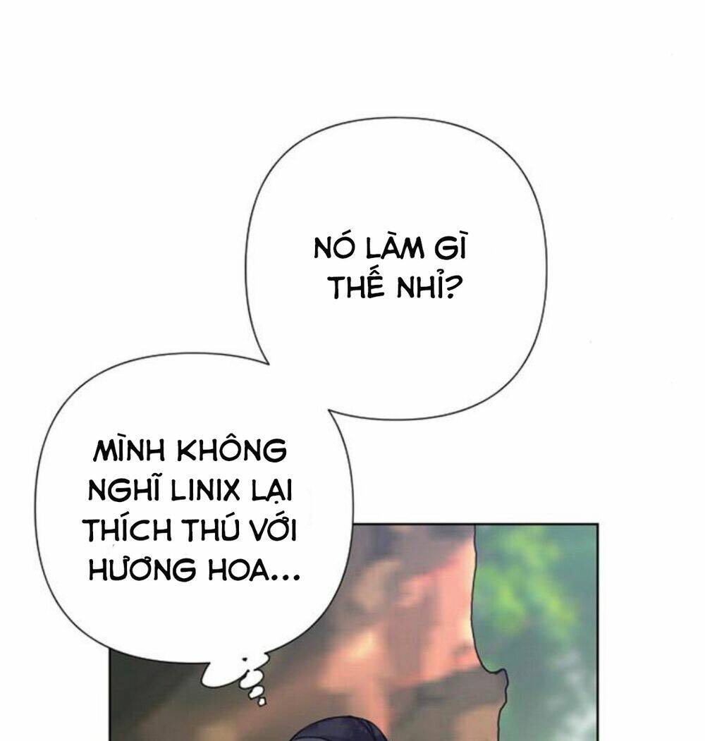 Cách Hiệp Sĩ Sống Như Một Tiểu Thư Quyền Quý - Chap 32 - Trang 81