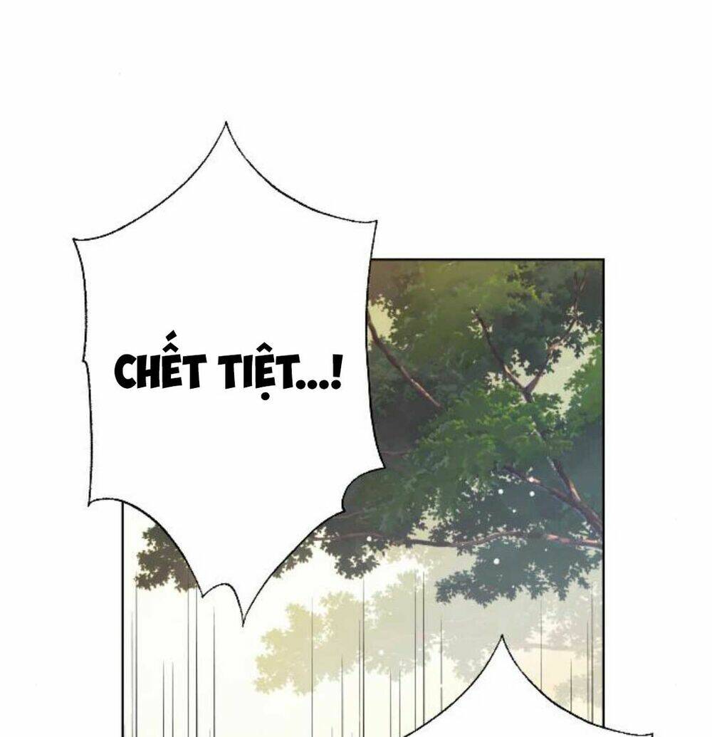Cách Hiệp Sĩ Sống Như Một Tiểu Thư Quyền Quý - Chap 34 - Trang 39