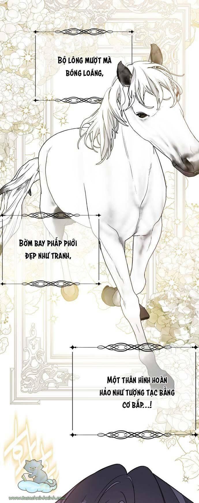 Cách Hiệp Sĩ Sống Như Một Tiểu Thư Quyền Quý - Chap 55 - Trang 66