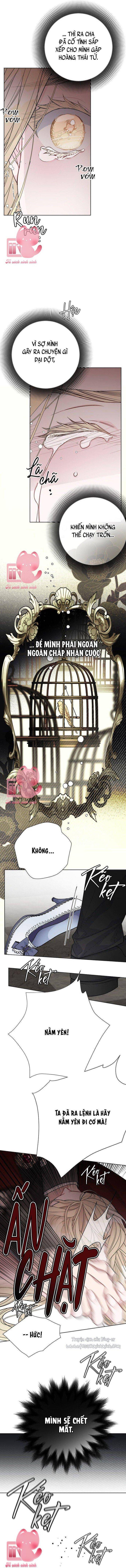 Cách Hiệp Sĩ Sống Như Một Tiểu Thư Quyền Quý - Chap 77 - Trang 13