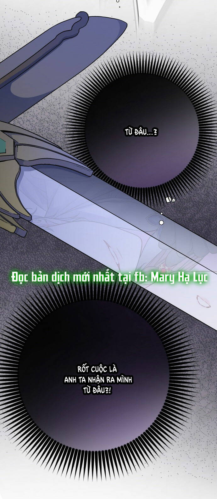 Cách Hiệp Sĩ Sống Như Một Tiểu Thư Quyền Quý - Chap 81.1 - Trang 13