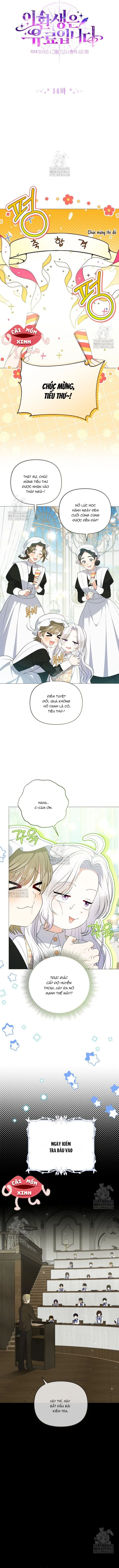 Cái Giá Của Tái Sinh - Chap 14 - Trang 2