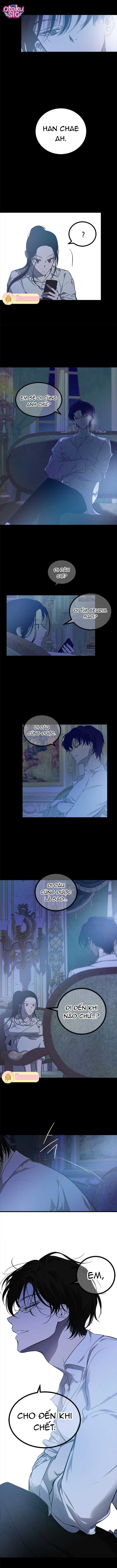 Cạm Bẫy - Chap 199 - Trang 7
