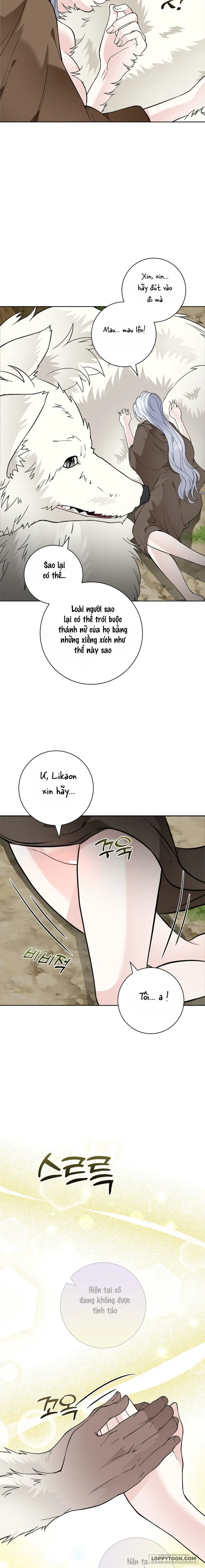 Cánh Hoa Ướt Đẫm Của Thánh Nữ - Chap 15 - Trang 15