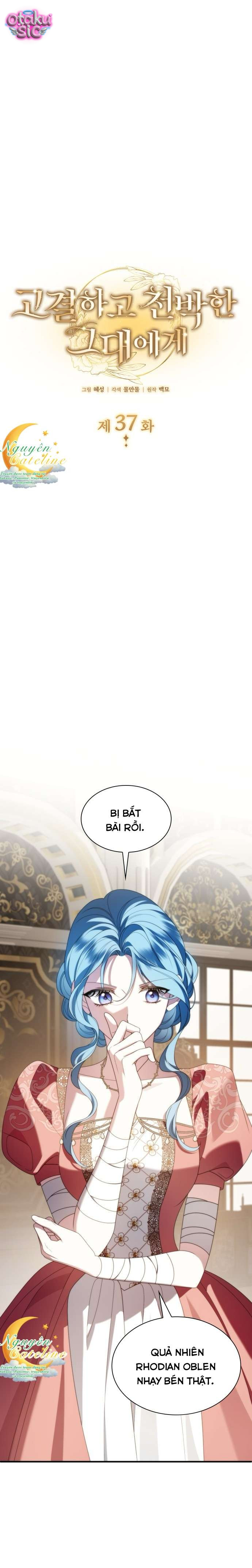 Cao Quý Và Phù Phiếm - Chap 37 - Trang 1