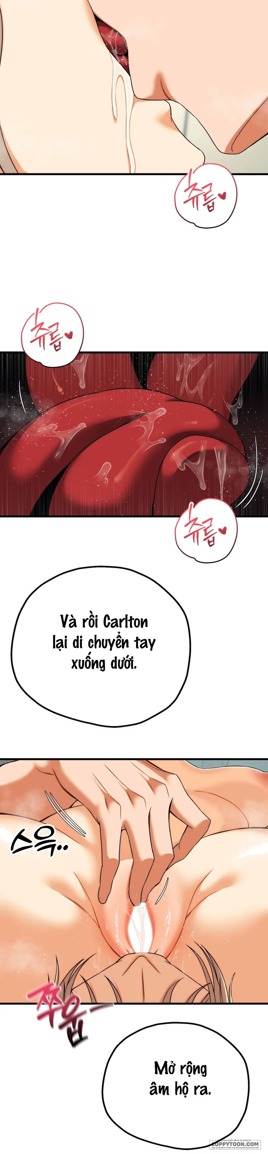 Câu Lạc Bộ Đọc Sách Người Lớn - Chap 12 - Trang 16