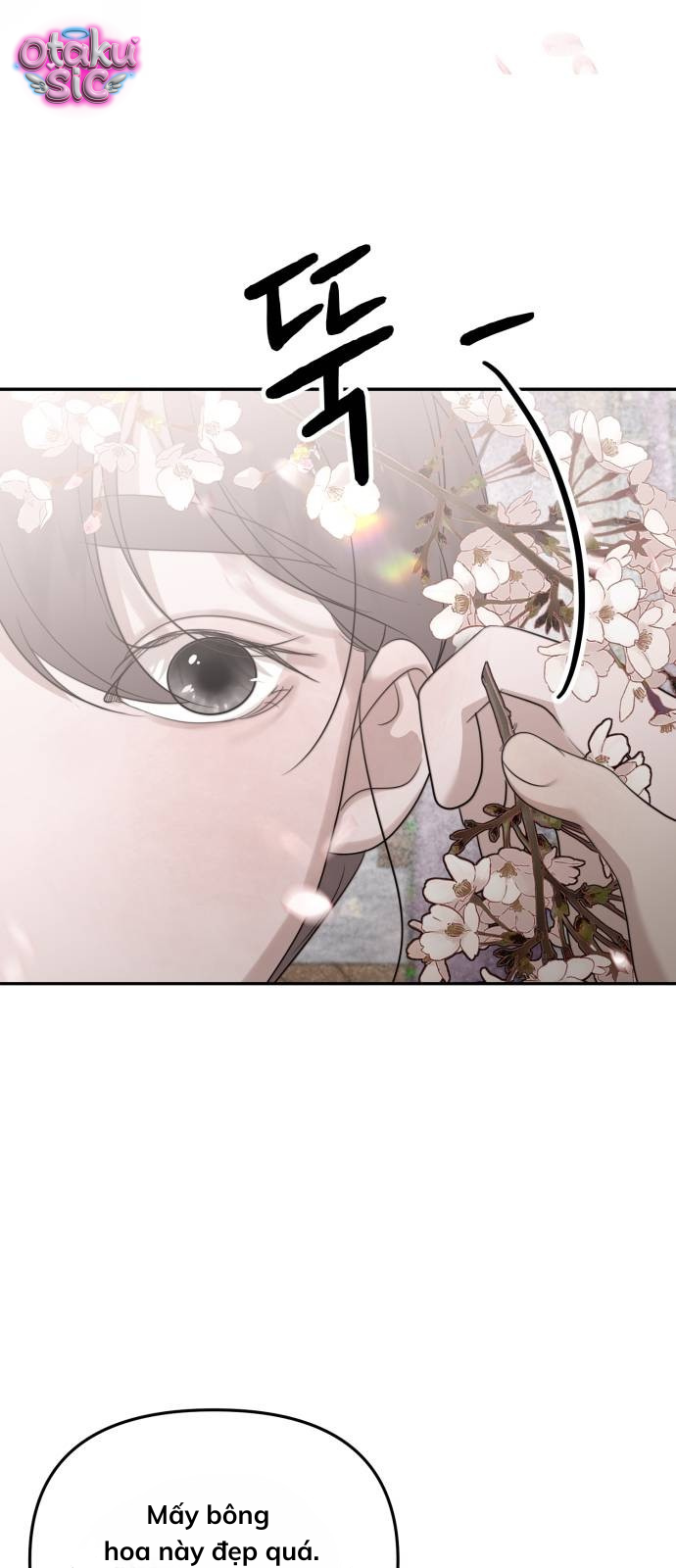 Câu trả lời dành cho cậu - Chap 10 - Trang 41