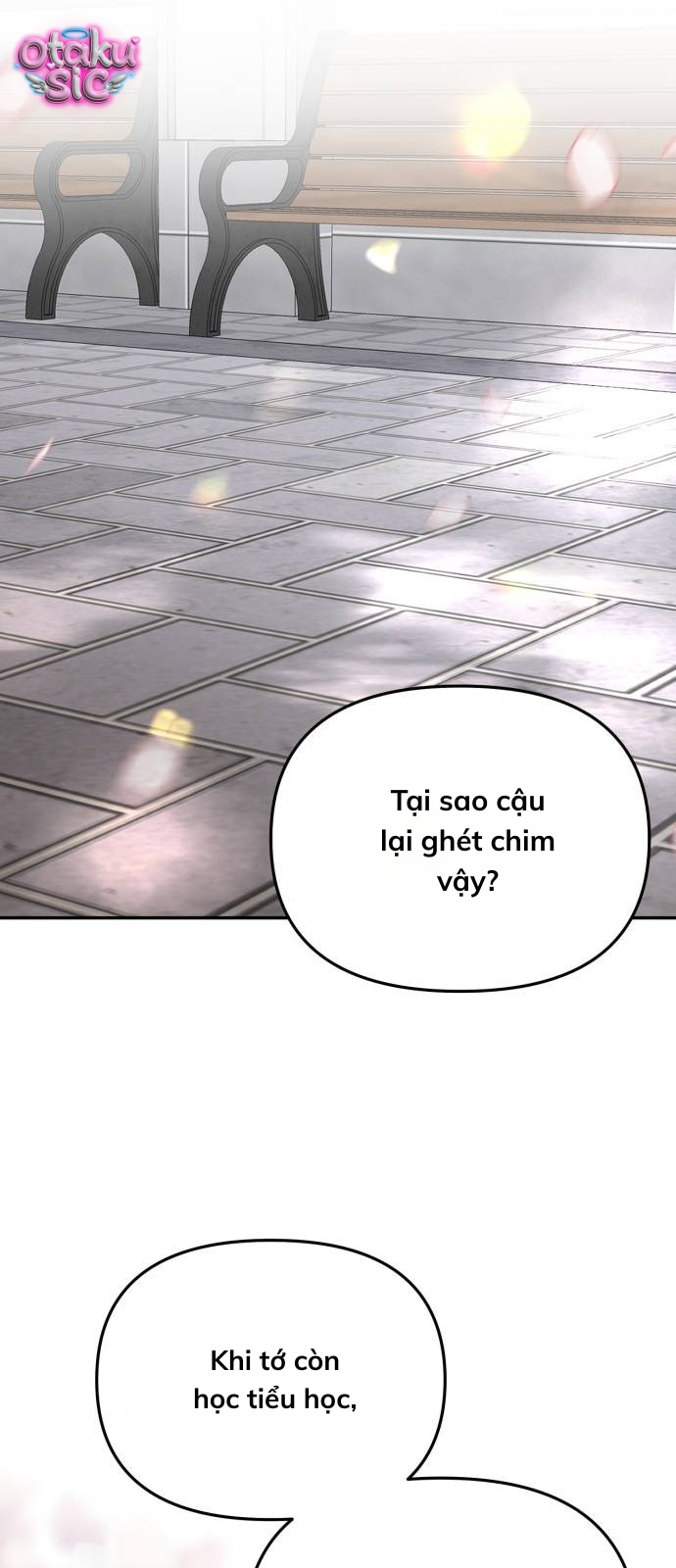 Câu trả lời dành cho cậu - Chap 17 - Trang 23