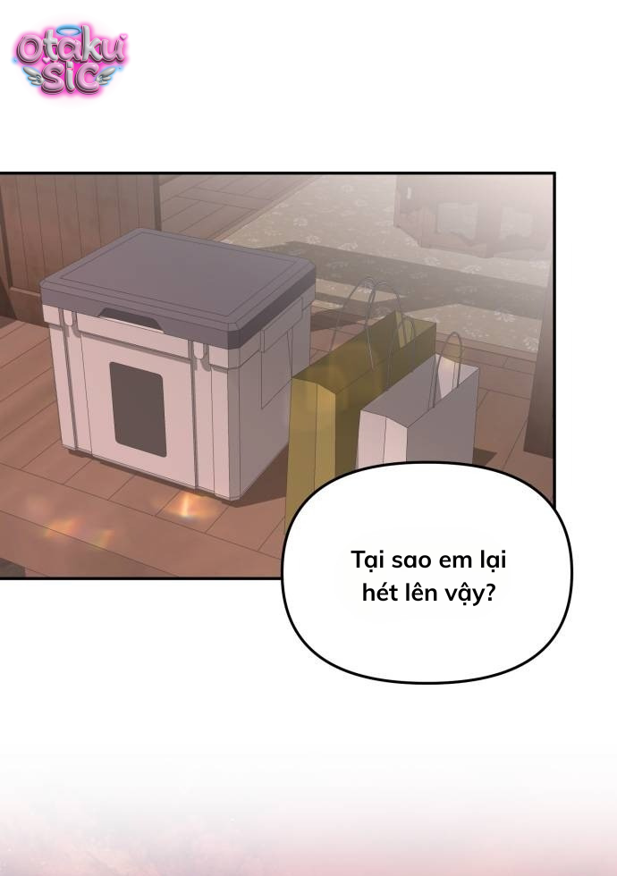 Câu trả lời dành cho cậu - Chap 8 - Trang 13