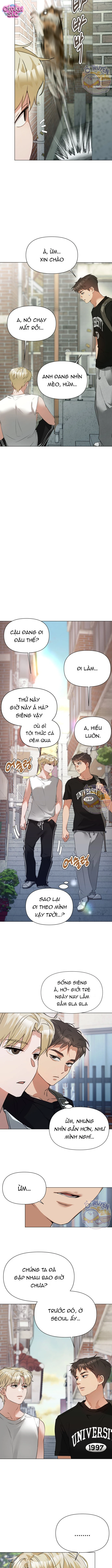 Chàng Romeo Của Chúng Ta - Chap 5 - Trang 3