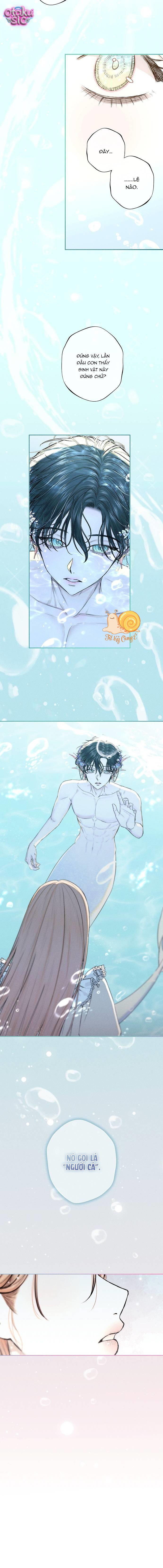 Chàng Tiên Cá Bị Giam Cầm Trong Hồ Nhà Tôi - Chap 1 - Trang 27