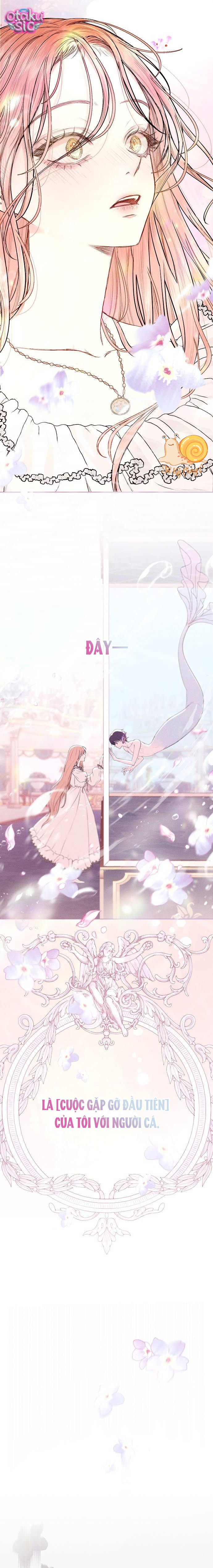 Chàng Tiên Cá Bị Giam Cầm Trong Hồ Nhà Tôi - Chap 1 - Trang 30