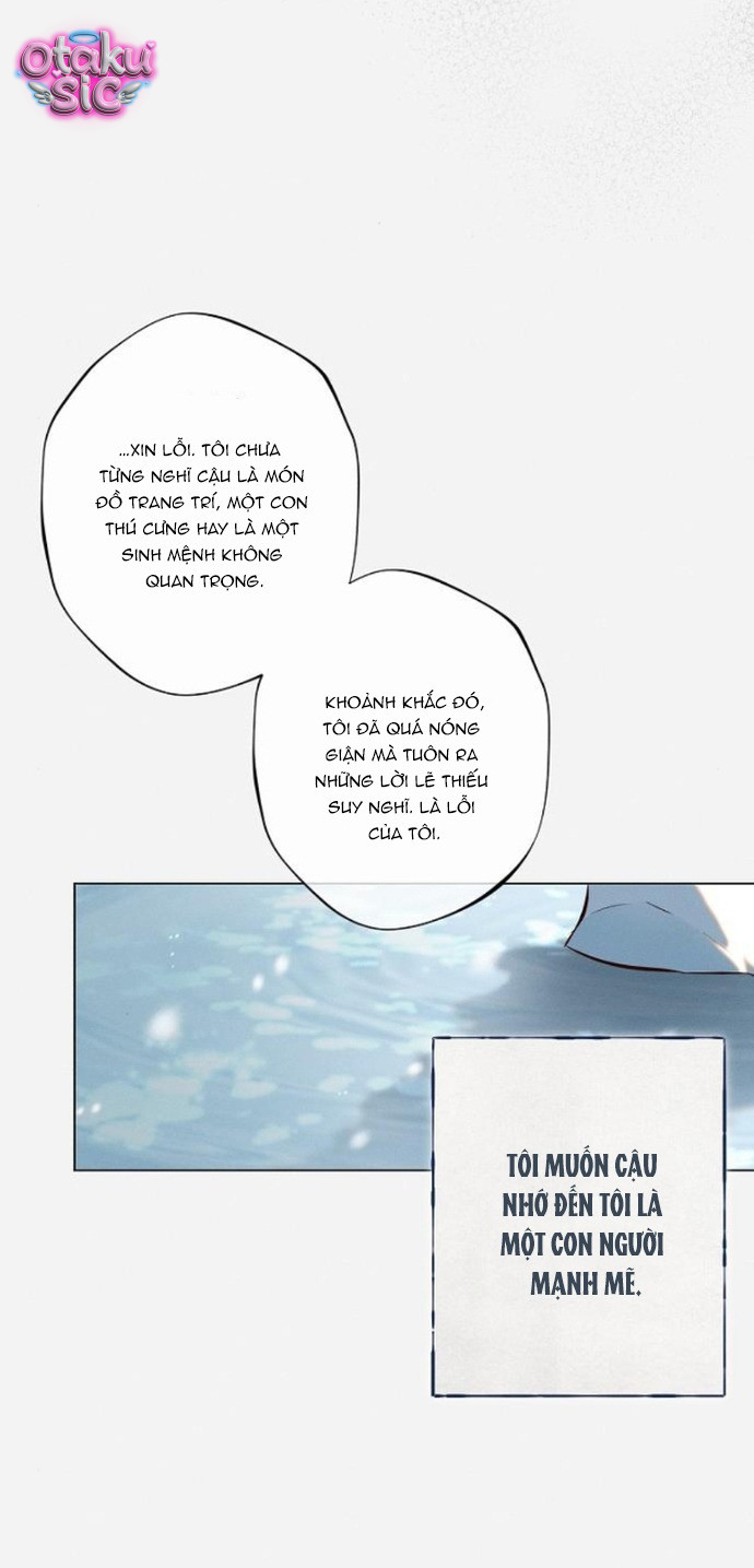 Chàng Tiên Cá Bị Giam Cầm Trong Hồ Nhà Tôi - Chap 10 - Trang 13