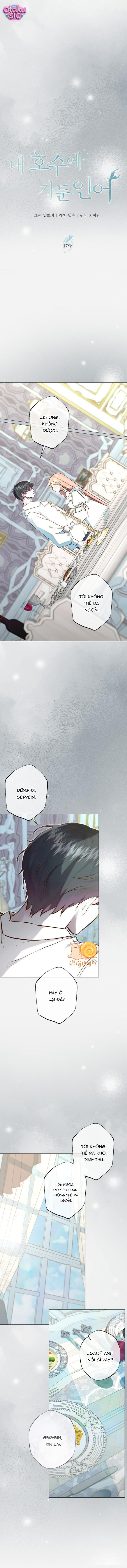 Chàng Tiên Cá Bị Giam Cầm Trong Hồ Nhà Tôi - Chap 17 - Trang 8