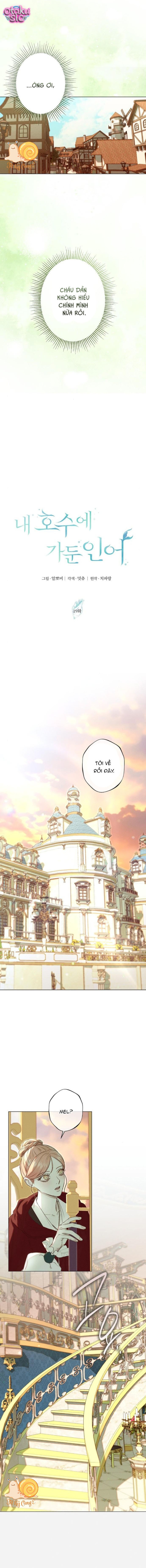 Chàng Tiên Cá Bị Giam Cầm Trong Hồ Nhà Tôi - Chap 19 - Trang 9