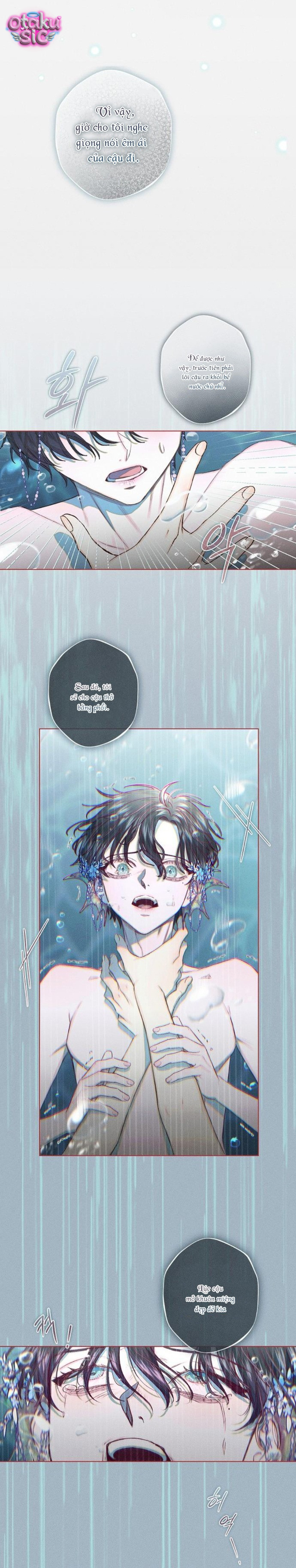 Chàng Tiên Cá Bị Giam Cầm Trong Hồ Nhà Tôi - Chap 2 - Trang 11