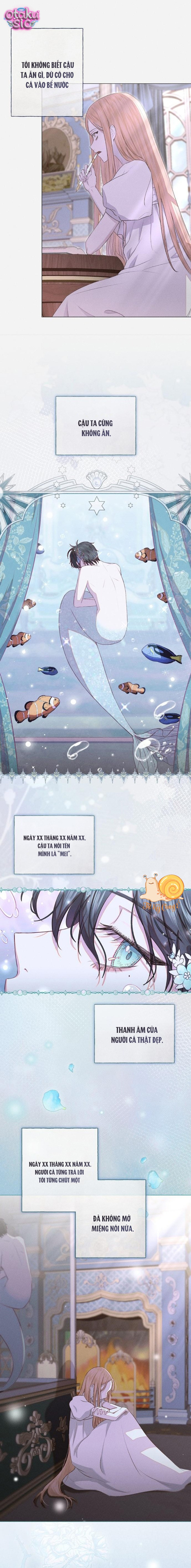 Chàng Tiên Cá Bị Giam Cầm Trong Hồ Nhà Tôi - Chap 2 - Trang 14