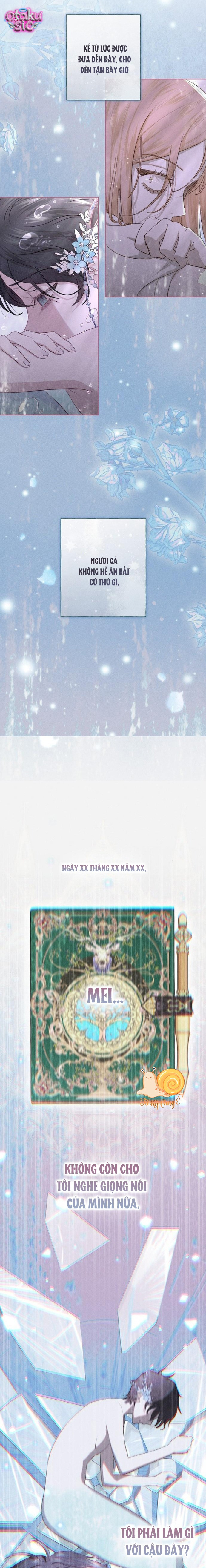 Chàng Tiên Cá Bị Giam Cầm Trong Hồ Nhà Tôi - Chap 2 - Trang 15