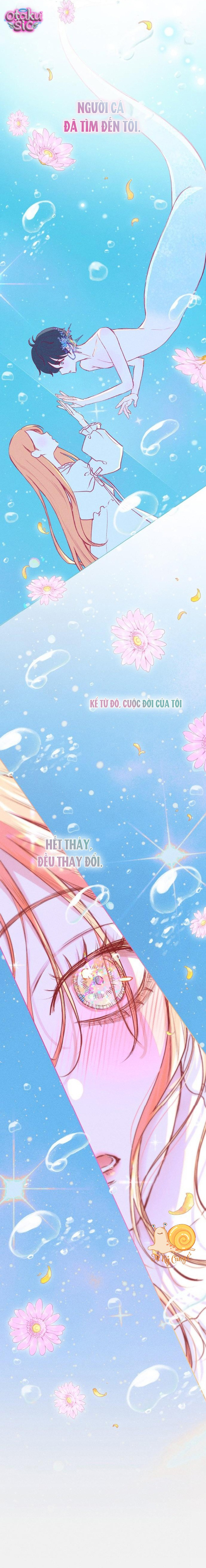 Chàng Tiên Cá Bị Giam Cầm Trong Hồ Nhà Tôi - Chap 2 - Trang 3