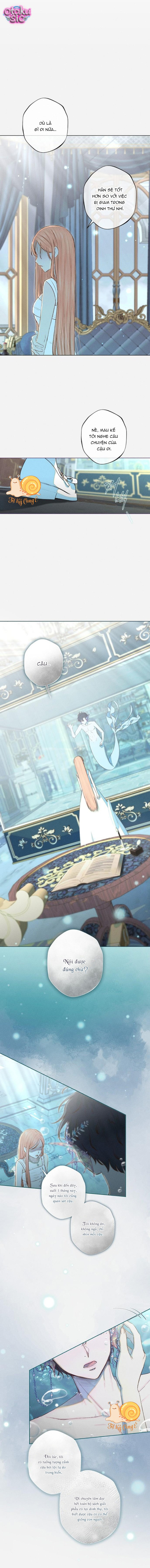 Chàng Tiên Cá Bị Giam Cầm Trong Hồ Nhà Tôi - Chap 2 - Trang 10