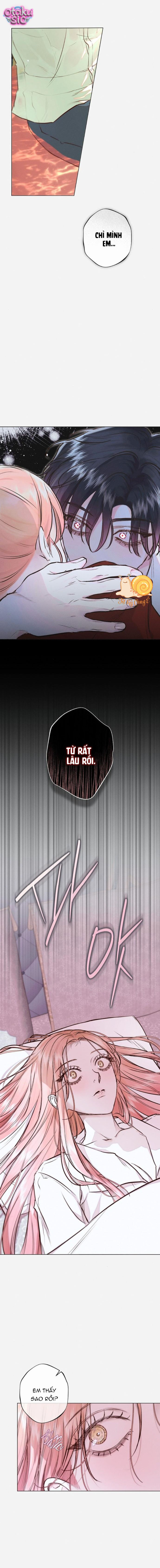 Chàng Tiên Cá Bị Giam Cầm Trong Hồ Nhà Tôi - Chap 20 - Trang 8