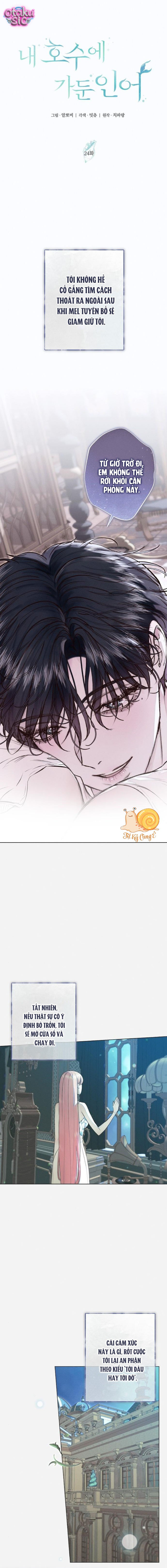 Chàng Tiên Cá Bị Giam Cầm Trong Hồ Nhà Tôi - Chap 24 - Trang 1